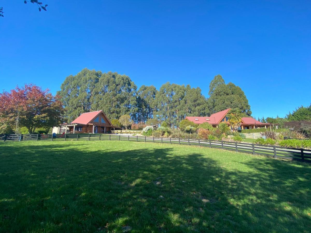 Tree Hut Cottage Masterton Luaran gambar